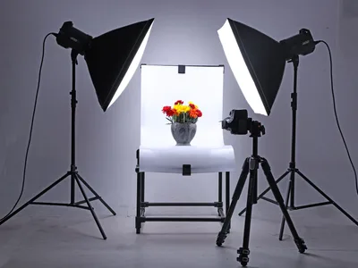 Portfolio nuotrauka